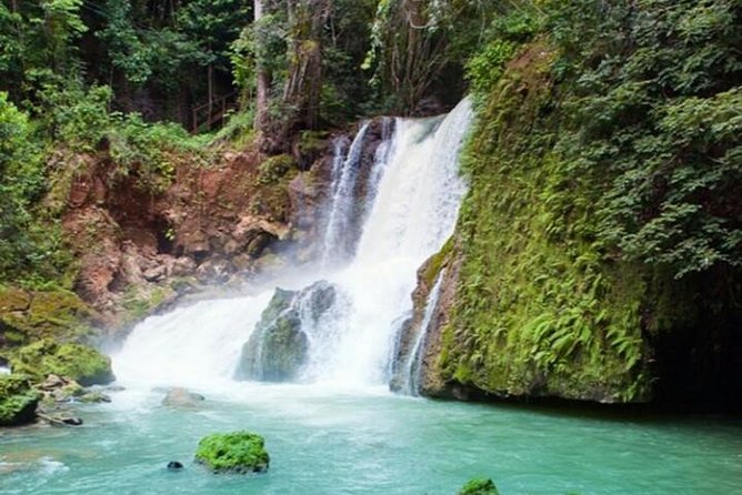 Transportation to Dunn's River Falls - Transportation Options