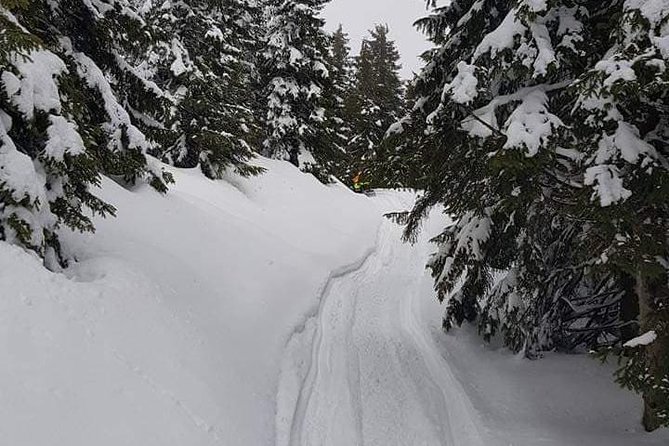 Transylvania, Draculas Castle & Fun With the Snowmobile or ATV Tour in One Day - Review Ratings and Feedback