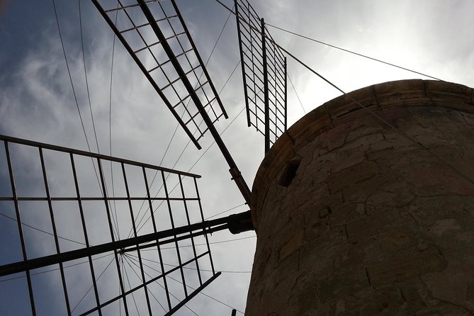 Trapani Salt Pans Private Tour Review - Transportation and Accessibility