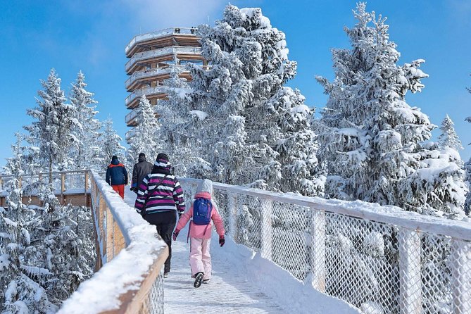 Treetop Walk in Slovakia and Thermal Baths From Krakow - Itinerary Details