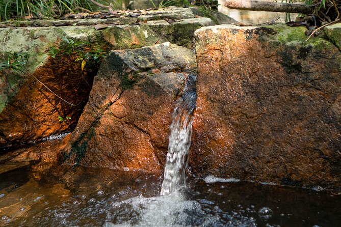 Trek Nui Chua Experience 2D1N, Night in the Jungle - Vinh Hy Bay - Health and Safety Guidelines