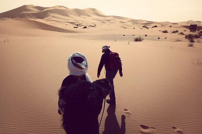 Trekking in Morocco / Atlas Mountains and Sahara Trek (5days) - Accommodation and Meals