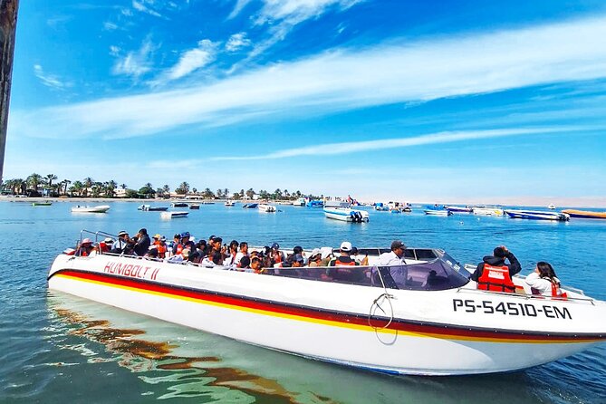 Trip and Tour to Paracas, Huacachina and Winegrowers - Excursion to Ballestas Islands