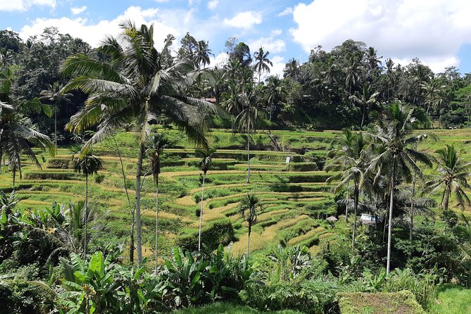 Trip Bali Ubud Full Day All Inclusive Private Tour - Inclusions Explained
