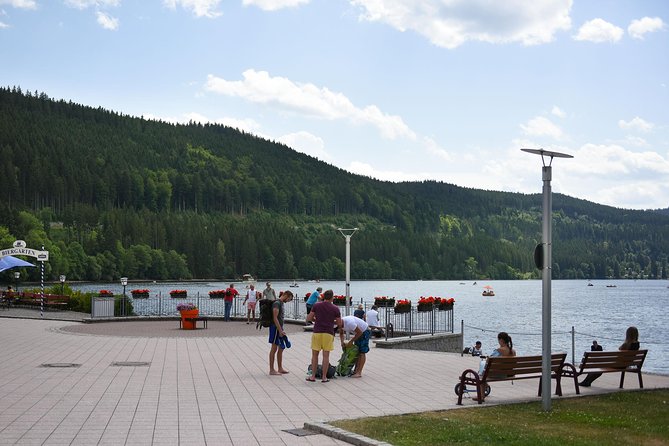 Trip From Zurich to Germanys Black Forest & Swiss Rhine Falls - Pickup and Timing