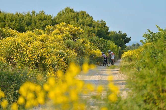 Trip to History of Vodice by Electric Bike - Discovering Historic Landmarks