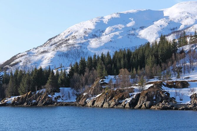Tromsø Northern Lights Cruise Review - Catamaran Cruise Experience