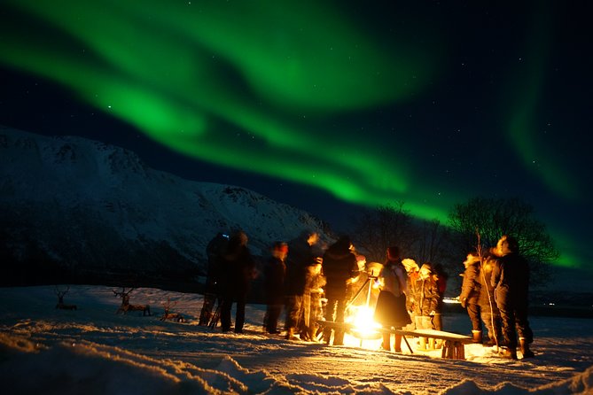 Tromsø Saami Culture and Reindeer-Feeding Experience  - Tromso - Immersive Reindeer Encounter and Feeding