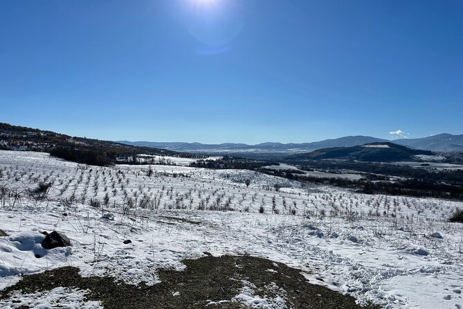 Truffle Hunting in Kyustendil - Culinary Delights