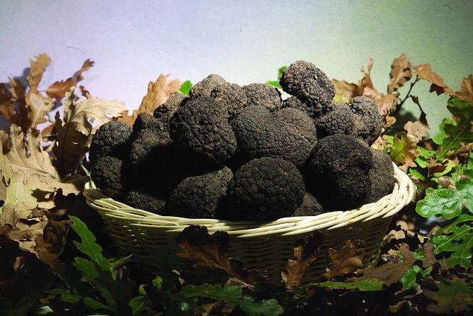 Truffle Hunting With Tasting Included - Umbria, Italy - Tasting Umbrian Delicacies
