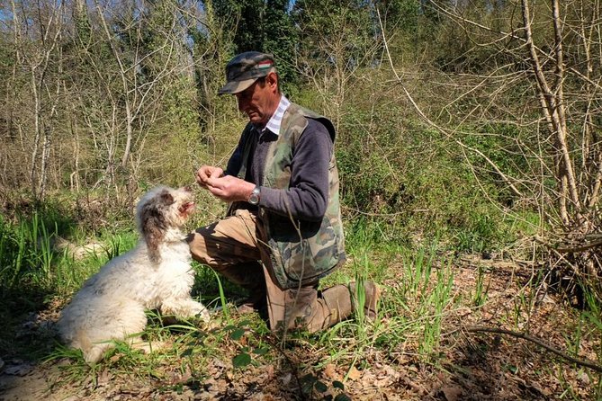 Truffle Hunting With Wine Tasting in Chianti - Truffle Hunting and Guided Walk