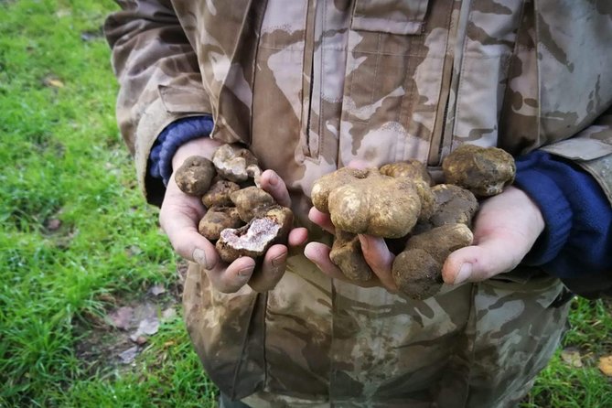 Truffle Hunting - Group Size and Accessibility