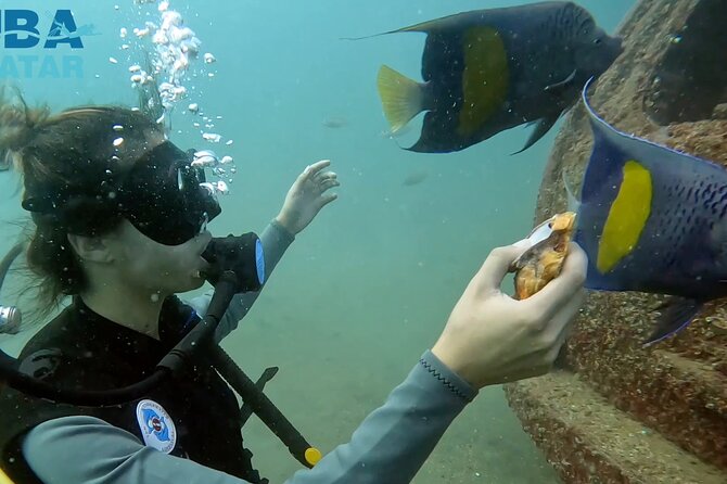 Try Scuba Dive in Qatar - Underwater Photography Session