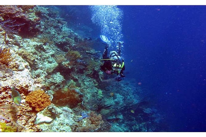Tulamben Diving USS Liberty Shipwreck Scuba Dive - Inclusions for the Dive