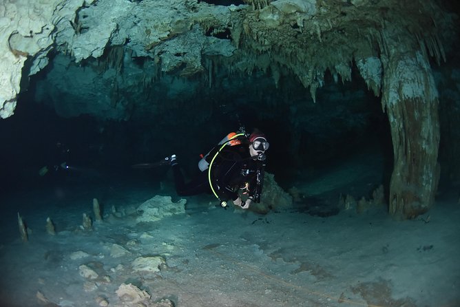 Tulum Cenote Diving. the Real Mayan Underworld - Meeting and Pickup Details