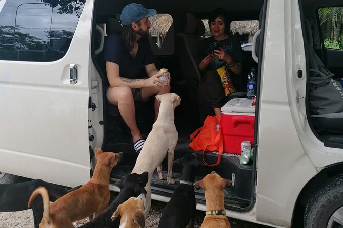 Tulum Private Transportation - Pickup and Drop-off Details
