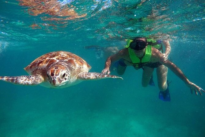 Tulum Ruins Swim With Turtles in Akumal and Cenote - Included Experiences
