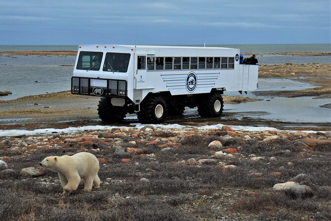 Tundra Buggy Autumn Day Tours - Inclusions