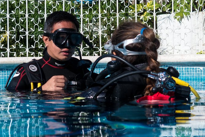 Two Reef Discovery Dives With Professional Instructor (No Experience Necessary) - Whats Included
