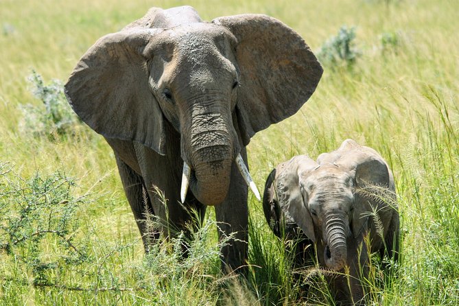 Uganda Wildlife Holiday - 8 Days - Taking in Local Culture