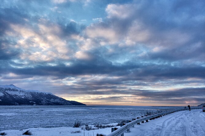 Ultimate Anchorage Winter Wildlife & Sunset Tour - Wildlife Encounters at Conservation Center