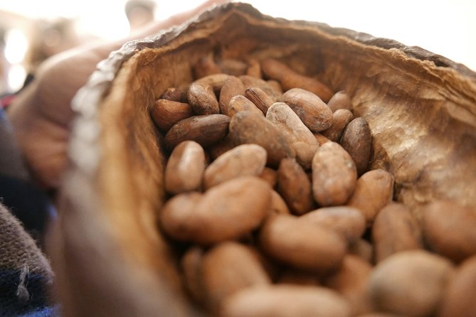 Ultimate Chocolate Tour in Montreal With Included Tastings - Learning Aspects