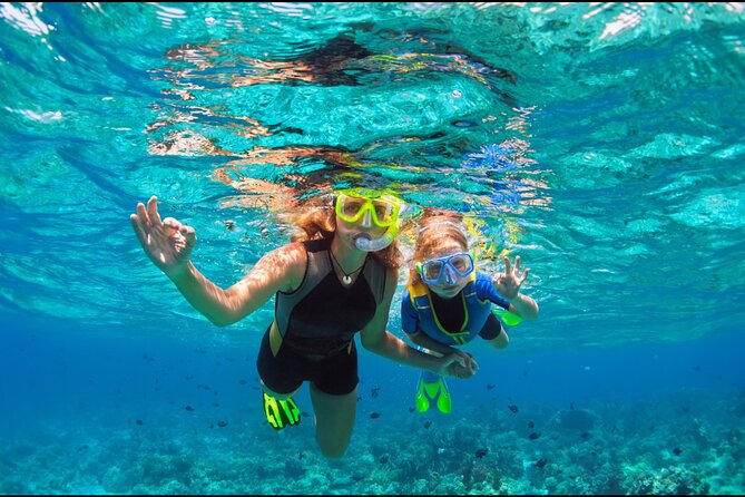 Underwater Sculpture Park Snorkel Adventure - Inclusions and Amenities