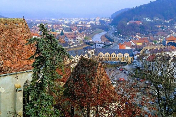 UNESCO Day Tour From Brasov: Sighisoara, Rupea and Viscri - Inclusions