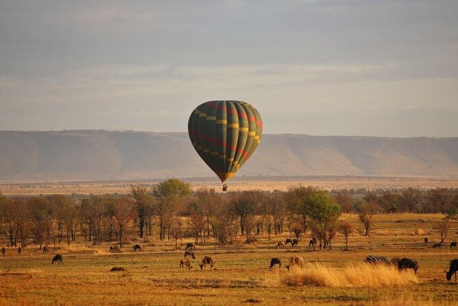 Unforgettable Tanzania Safari And Zanzibar Beach - Essential Services Included