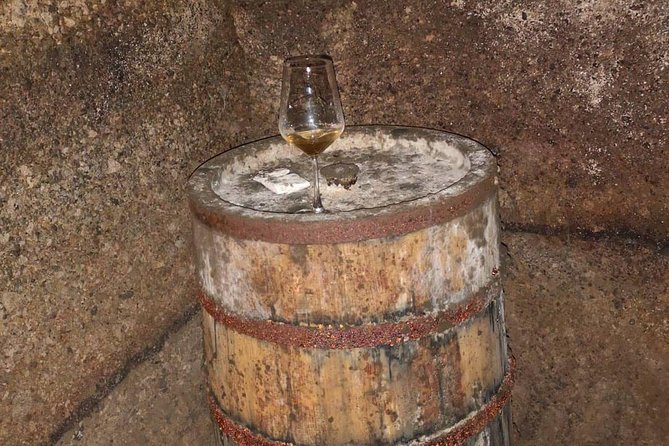Unique Enobike Experience With Tasting in 2 Excellent Wineries - Wineries and Wine Tasting
