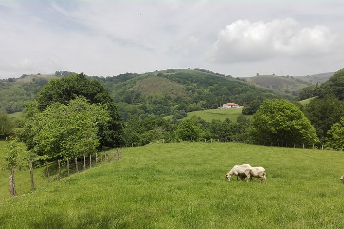 Unspoiled FRENCH BASQUE COUNTRYSIDE - Private Cultural Adeventure - Historical Landmarks and Heritage