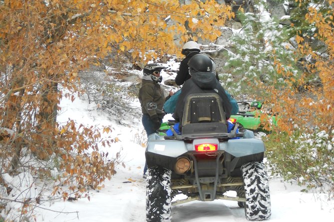 UTV or Snow Mobile & Snowshoe Winter Adventures From Reno - Meeting Point Details