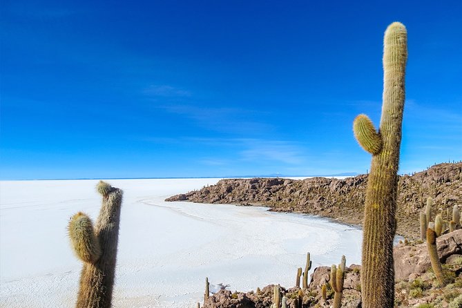 Uyuni Salt Flats - FULL DAY - English Speaking Guide - Pickup Information