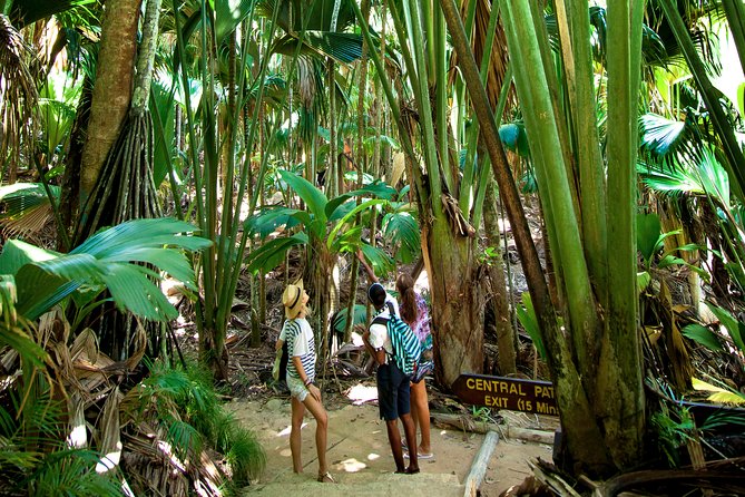 Vallee De Mai Tour (From Praslin) - Highlights of the Tour