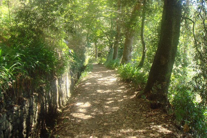 Valley De Paradise Levada Walk - Pickup Information