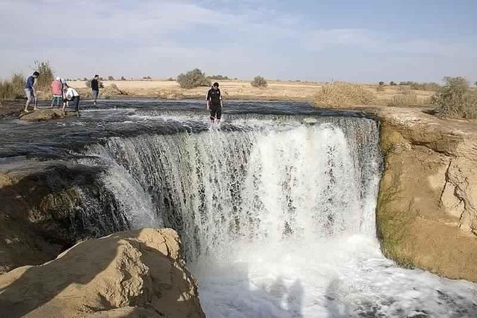 Valley of Whales & Al Fayoum by Jeep 4*4 - Private Desert Full Day Trek - Cairo - Inclusions