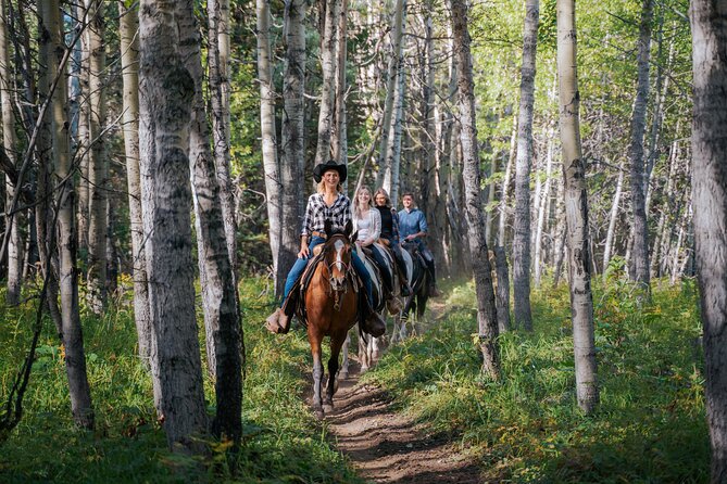 Valley Vista 1.5 Hour Horseback Trail Ride in Kananaskis - Meeting and Pickup Information