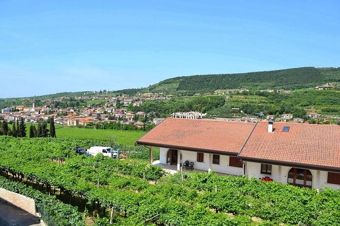 Valpolicella - the Wine Paradise - Discovering the Essence of Valpolicella Wines