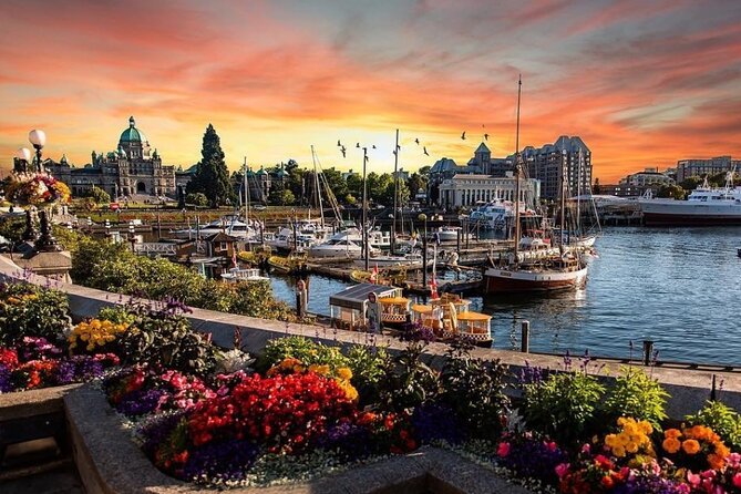 Vancouver Island 2-Day Tour 3/4/5 Star Hotel (Chinese & Eng) - Transportation and Logistics