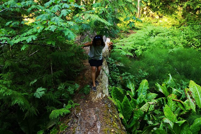 Vancouver Island Rainforest Guided Hike With Private Guide - Inclusions