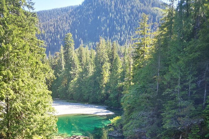 Vancouver Island Tour, The Wilderness Explorer to Nahmint Valley - Meeting and Pickup