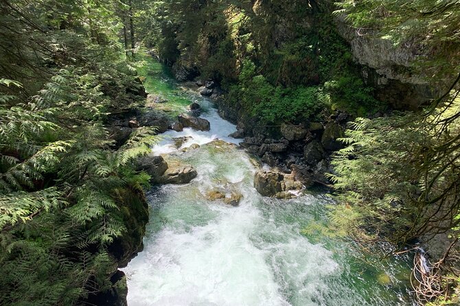 Vancouver Rainforest Hike With Waterfalls, Suspension Bridge, Old Growth Forest - Tour Experience and Highlights