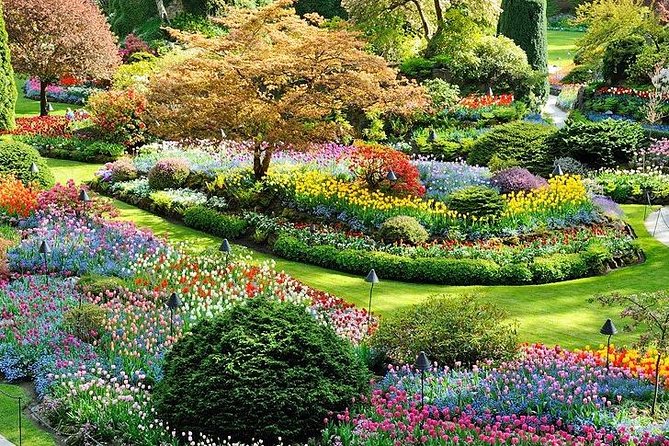 Vancouver, Victoria & Whistler 3 Days in One Combo Tour. - Pickup Information