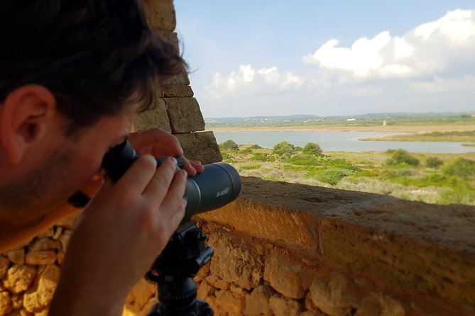 Vendicari - Sicilys Best Coast Nature Reserve ( Birdwatching & Archeology ) - Coastal Hikes and Trails