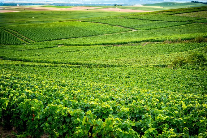 Veuve Clicquot Tour From Paris - Recommended by Travelers