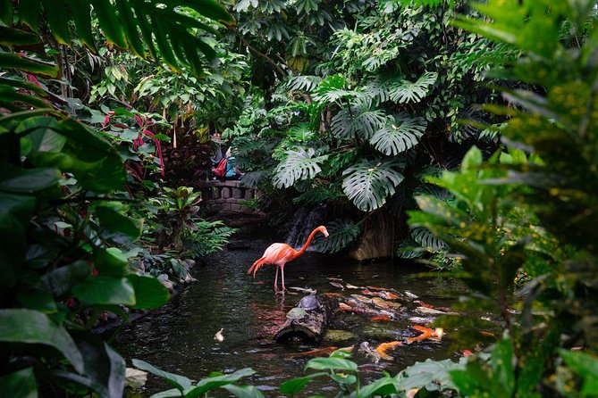 Victoria Butterfly Gardens Ticket - Visitor Information