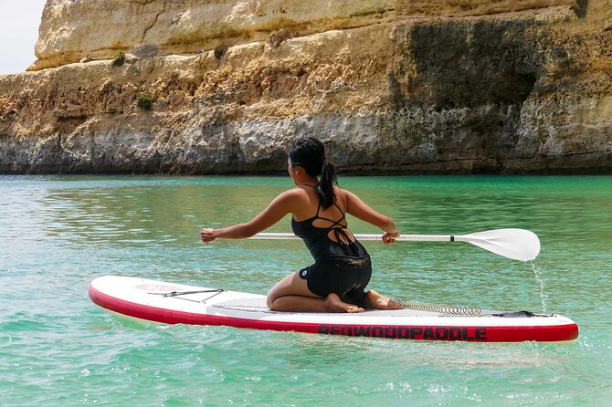 Vilamoura Sightseeing Cruise With Beach BBQ With Open Bar - Inclusions and Offerings