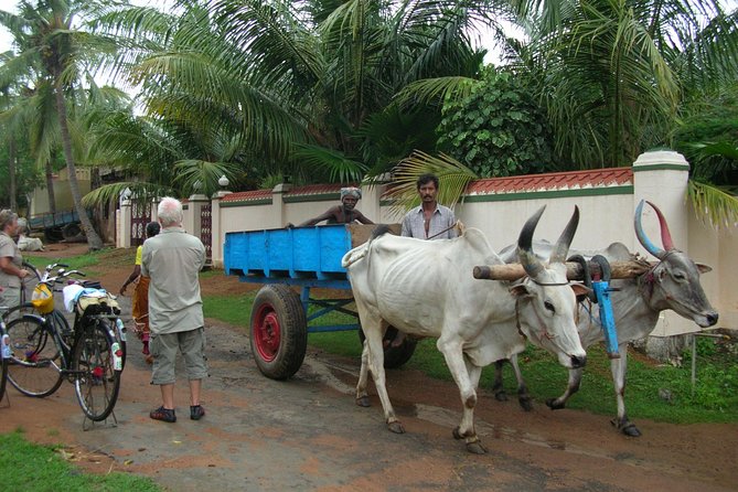 Village Biking Day Tour in Mahabalipuram - Itinerary Details