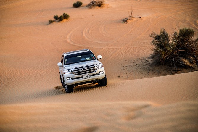 VIP Evening Desert Safari, Camel Ride, Dune Bashing, Sand Boarding, Exclusive - Activity Highlights
