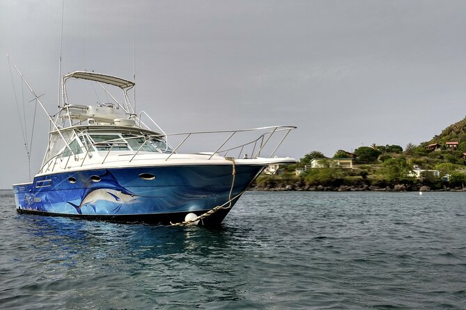 VIP Private Guided Scuba Diving/Snorkeling Excursion - Pickup and Meeting Details